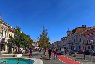 Garsonieră decomandată în Sud - 2