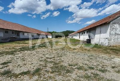 Spațiu industrial, de 8,000 mp, în Săliștea - 25