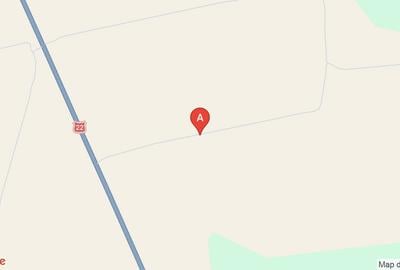 Teren agricol extravilan de 49500 mp, în Lumina - 1