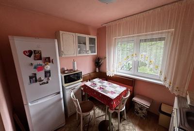 Apartament cu 2 camere semidecomandat în Rogerius - 4