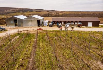 Teren agricol extravilan de 1150000 mp, în Dud - 2