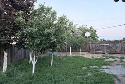 Casă cu 4 camere cu Teren 720 Mp în Cruceni - 15