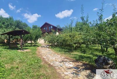 Casă individuală cu 8 camere cu Teren 1160 Mp în Meteș - 2