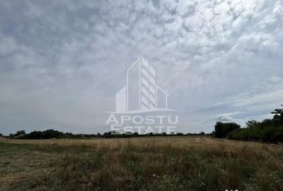 Teren în Parța