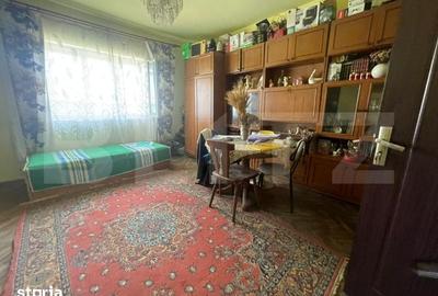 Casă cu 4 camere cu Teren 6000 Mp în Bocșa - 4