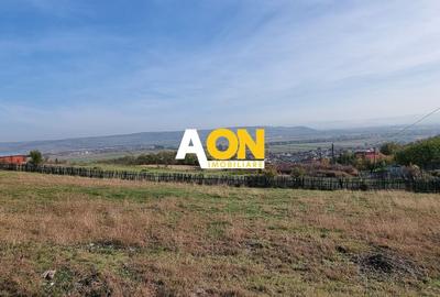 Teren Construcții intravilan de 5500 mp, în Pâclișa - 4
