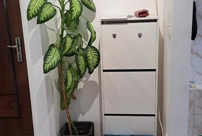 Apartament cu 2 camere decomandat în Micro 5 - 4