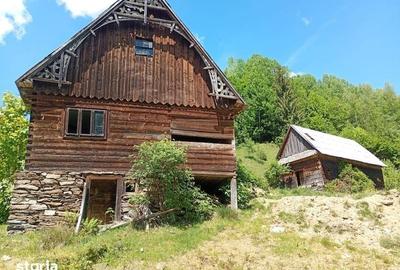 Casă cu 3 camere cu Teren 22000 Mp în Albac