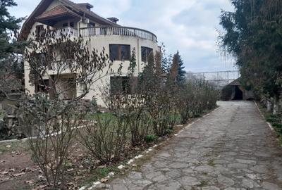 Casă cu 8 camere cu Teren 1450 Mp în Joița - 6