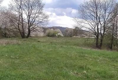 Teren de 5000 mp, în Central - 2
