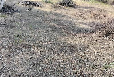 Teren de 2100 mp, în Dealul Malului