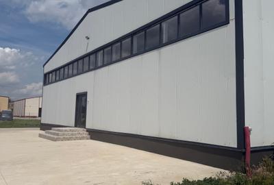 Spațiu industrial, în Theodor Pallady