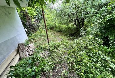 Teren de 1000 mp, în Provița de Jos - 6