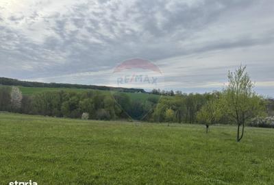 Teren de 3000 mp, în Bodești - 1