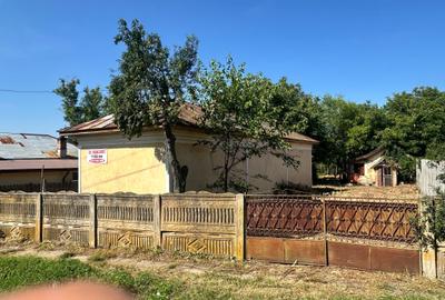 Casă cu 3 camere în Salcia