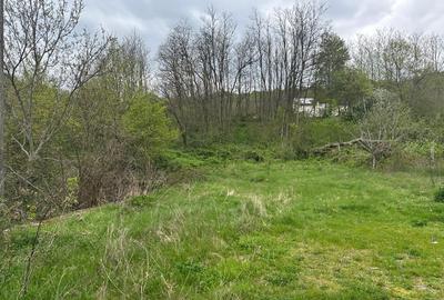 Casă individuală cu 16 camere cu Teren 5000 Mp în Malu Vârtop - 8