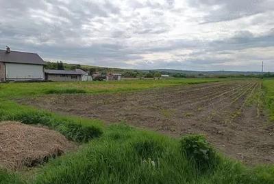 Teren de 5800 mp, în Luna - 5