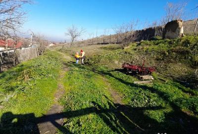 Teren de 600 mp, în Niculițel