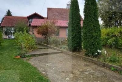 Casă cu 6 camere cu Teren 3000 Mp în Central - 1