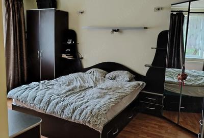 Casă cu 2 camere cu Teren 3103 Mp în Leșnic - 10
