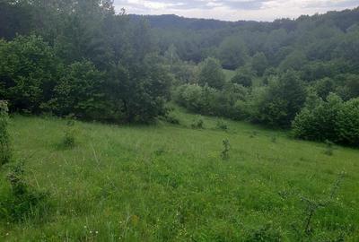Teren de 2200 mp, în Dăești - 6
