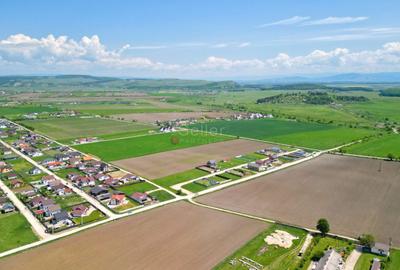 Teren Construcții intravilan de 31800 mp, în Sânpetru - 14