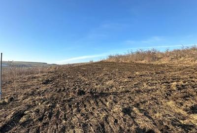 Teren Construcții extravilan de 600 mp, în Iris - 2