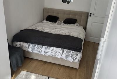 Apartament cu 2 camere semidecomandat în Calea Moldovei - 5