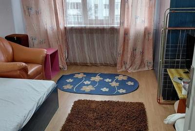 Garsonieră semidecomandată în Lăpuș - 3