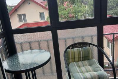Apartament cu 2 camere decomandat în Valea Lupului - 3