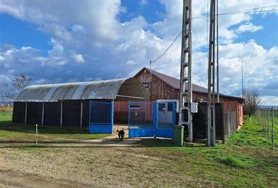 Spațiu industrial, de 360 mp, în Săbolciu - 1