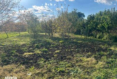 Teren de 1350 mp, în Bercu Roșu - 4