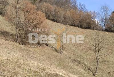 Teren de 5000 mp, în Șinca - 2