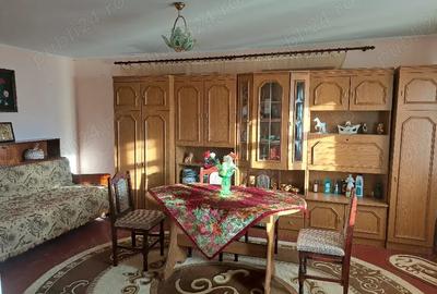 Casă cu 2 camere cu Teren 4300 Mp în Capu Câmpului - 9