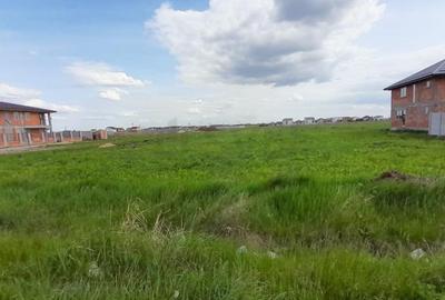 Teren Construcții intravilan de 13700 mp, în Clinceni - 6
