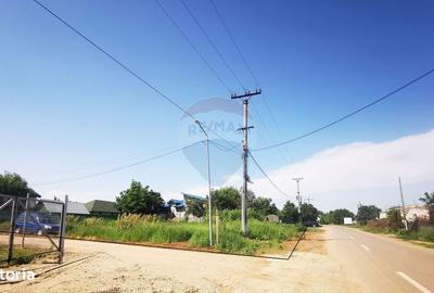 Teren de 650 mp, în Ciolpani - 5