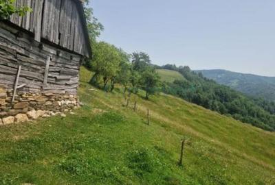 Teren de 26034 mp, în Bulz