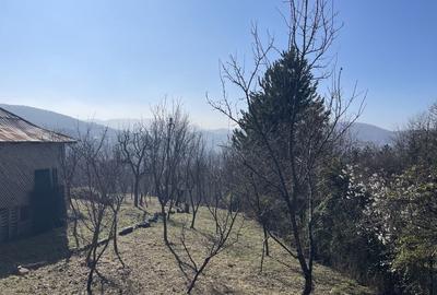 Casă cu 2 camere în Provița de Jos - 8
