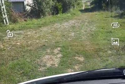 Teren în Goruni