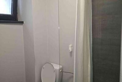 Apartament cu 2 camere decomandat în Calea Severinului