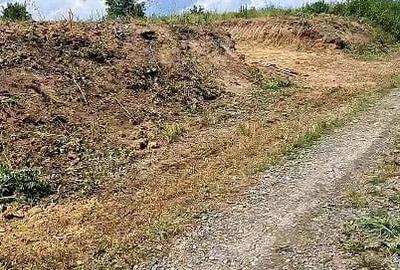 Teren de 1194 mp, în Viile Satu Mare