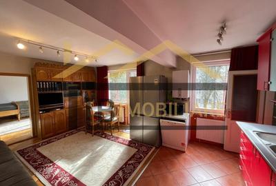 Apartament cu 2 camere semidecomandat în Cornișa - 1