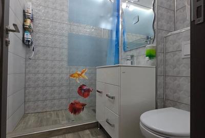 Garsonieră în Burdea - 8