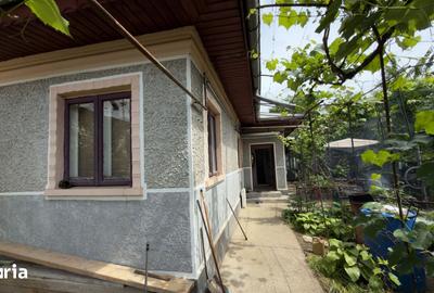 Casă cu 3 camere cu Teren 364 Mp în Colentina - 4