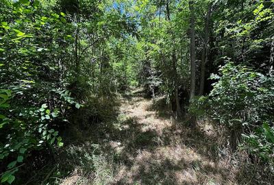Teren de 6857 mp, în Bujoreni - 6