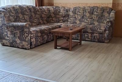 Apartament cu 3 camere semidecomandat în Gojdu - 10