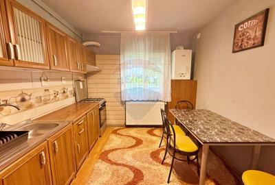 Apartament cu 2 camere decomandat, mobilat în Alfa - 3