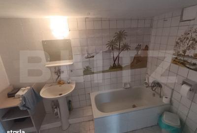 Spațiu comercial, de 230 mp, în Paltin - 1