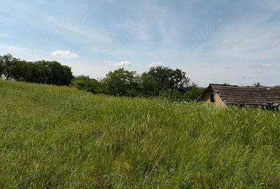 Teren de 925 mp, în Berceni