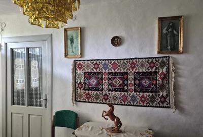 Casă cu Teren 5867 Mp în Vârlezi
